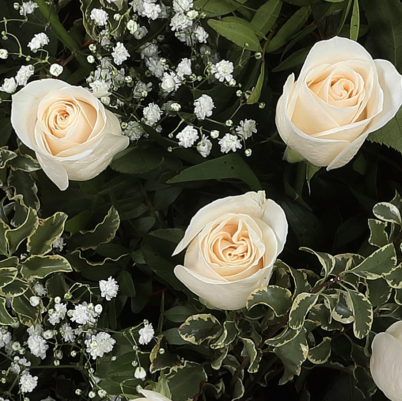 Centro de rosas blancas base