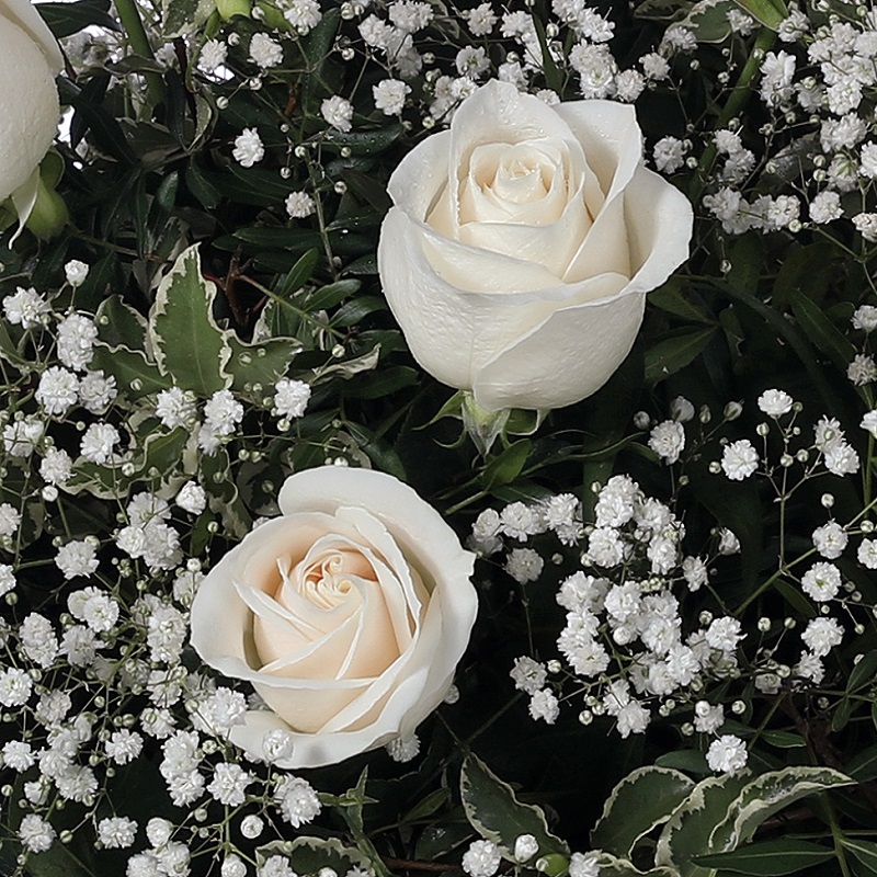 Centro de rosas blancas base
