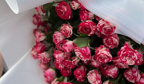 ¿Qué flores enviar al tanatorio?