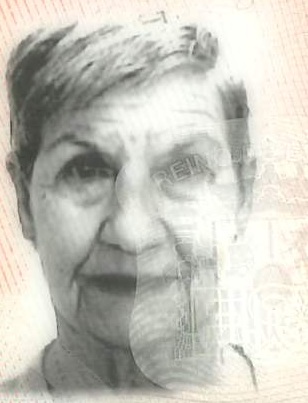 MARIA CARIDAD VICENTE GOMEZ | Gipuzkoa