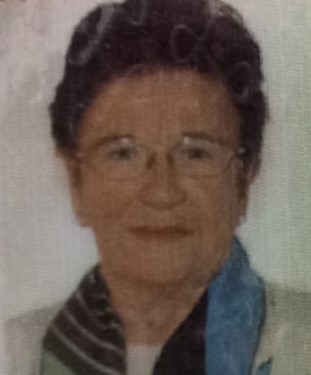 CARMEN SANTOVEÑA PEREZ | Gipuzkoa