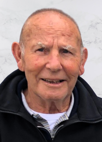 MANUEL BELLO ALVAREZ | Bizkaia