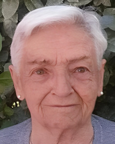 BAXILI TOLOSA ARICETA | Gipuzkoa