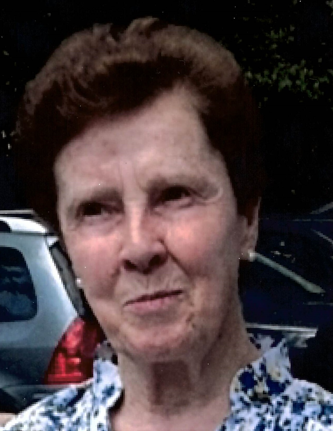 MARIA PILAR LARRUSCAIN AROZENA | Gipuzkoa