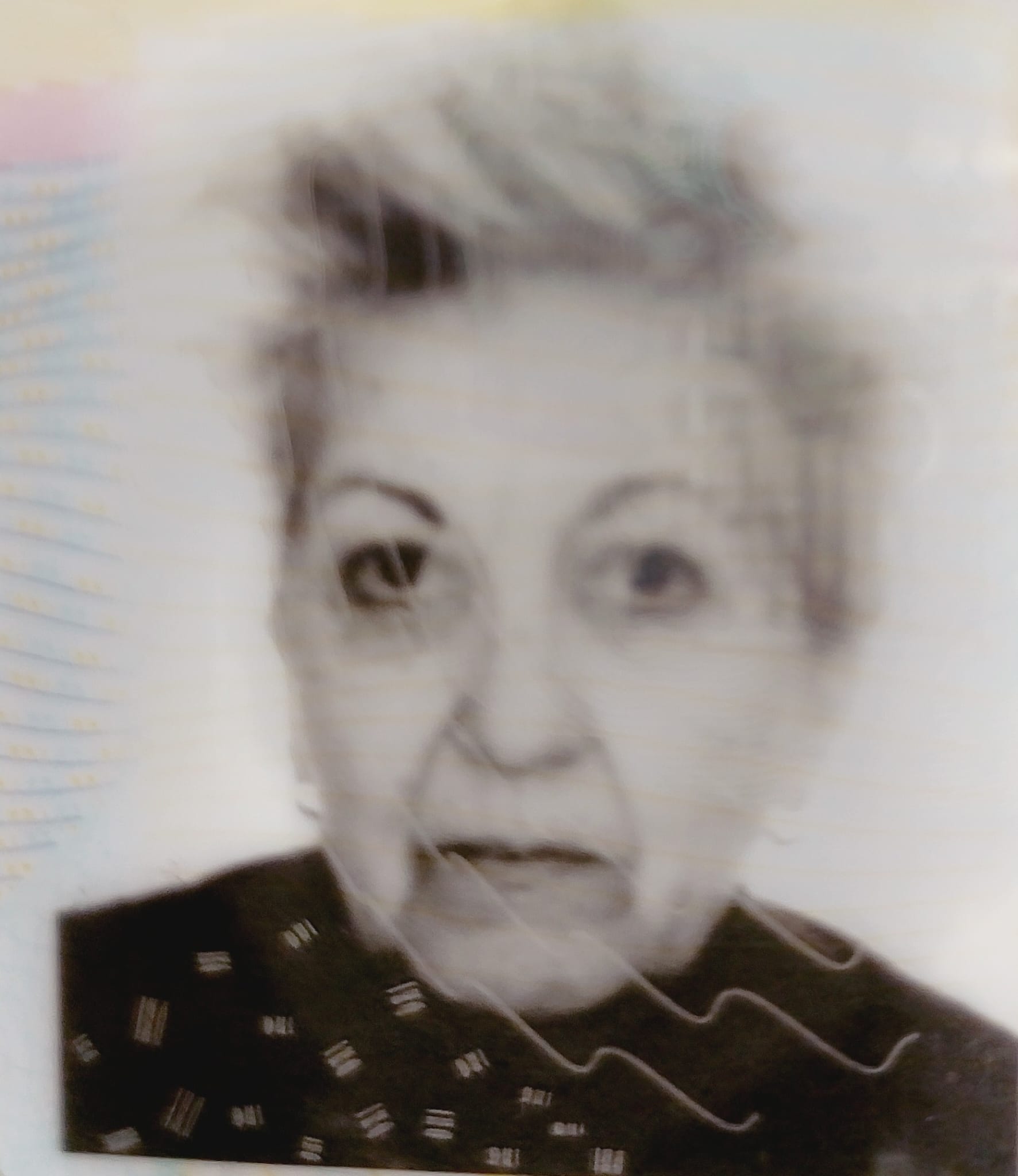 ANA MARIA AGUADO ALONSO | Gipuzkoa