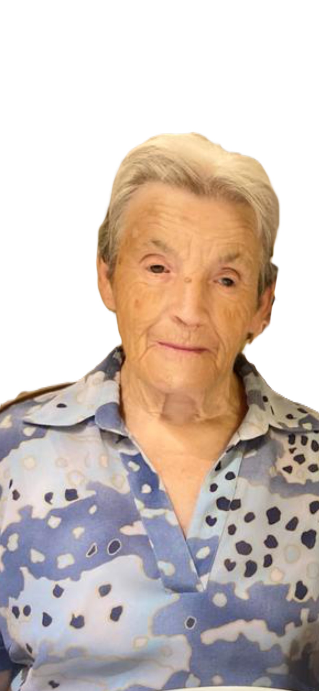 MARIA NIEVES LOPEZ PEREZ | Palencia