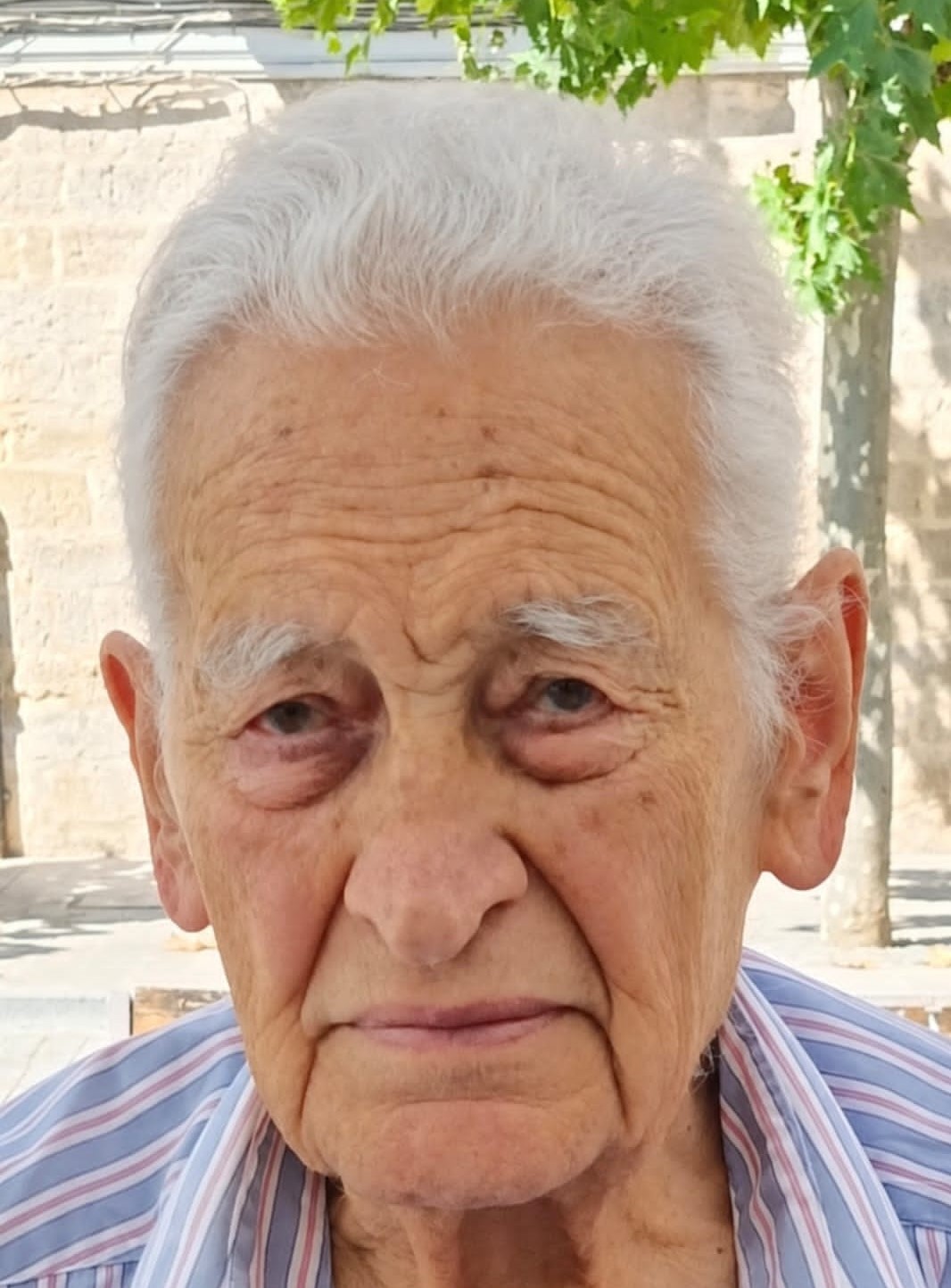 ALFONSO MARTINEZ CULEBRAS | Gipuzkoa