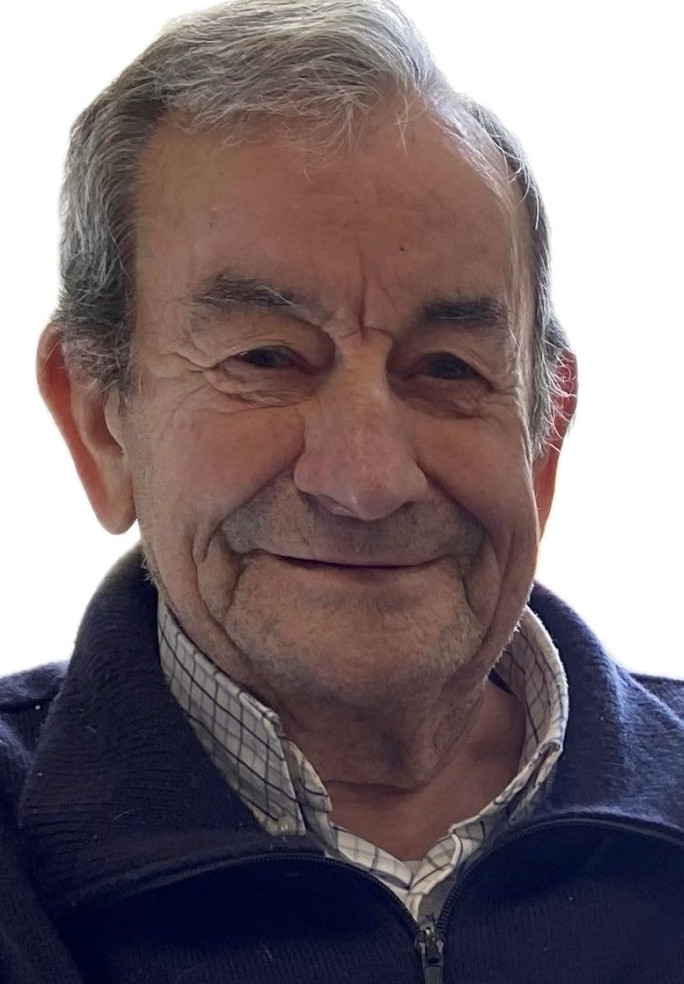 ANGEL PLAZA GOMEZ | Bizkaia