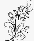 MARÍA DE LOS ÁNGELES RODRÍGUEZ QUIJANO