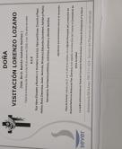 VISITACION LORENZO LOZANO