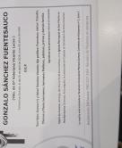 GONZALO SÁNCHEZ FUENTESAÚCO