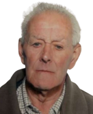 IGNACIO SAIZ URDANGARAY