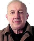 JUAN JOSE LALLANA PARDO
