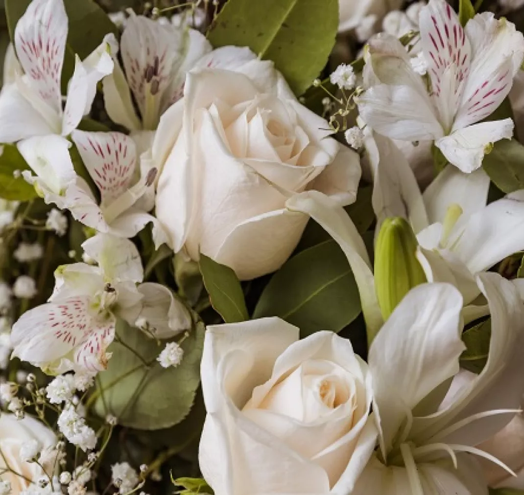 Floristeria tanatorio