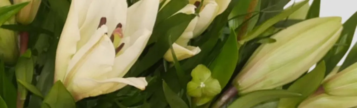Bouquet de liliums