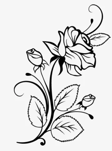 MARÍA DE LOS ÁNGELES RODRÍGUEZ QUIJANO