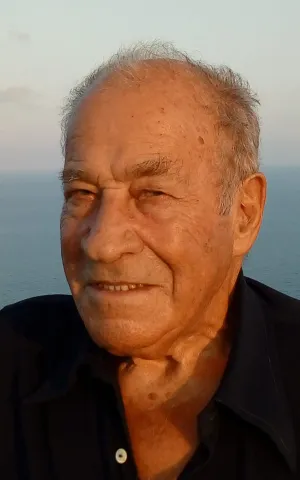 IGNACIO ARIÑO ALONSO