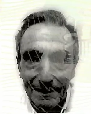 JULIÁN MARIA ALEGRIA ARSUAGA