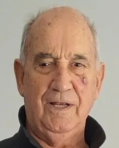 VICENTE PEÑALVO ALUSTIZA