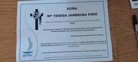 MARIA TERESA JAMBRINA PINO