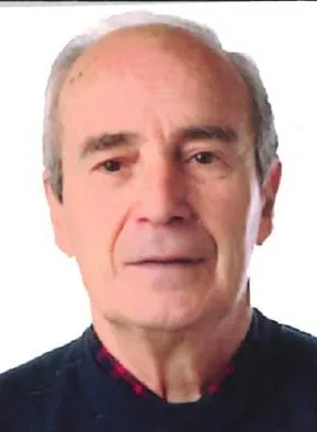 DOMINGO LERENA SAEZ