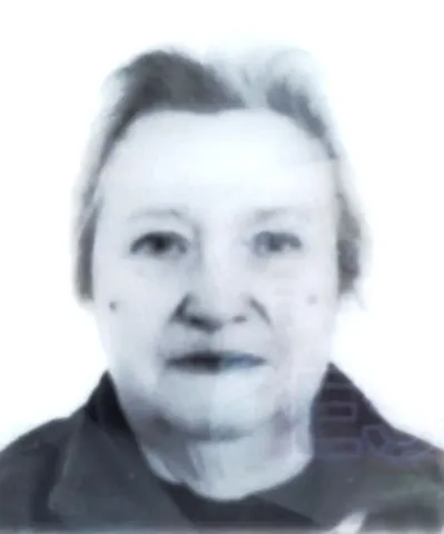 MARIA DEL CARMEN PUENTE CASTRO