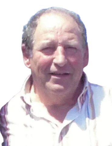 NICOLAS BRAVO DE MEDINA FERNANDEZ