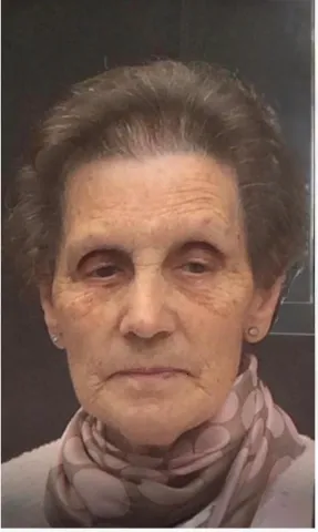 MARIA PILAR VILDA GUTIERREZ
