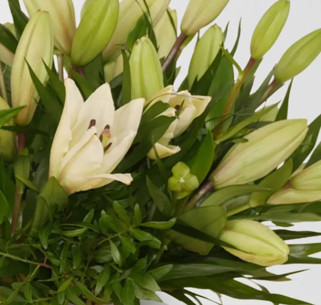 Bouquet de liliums