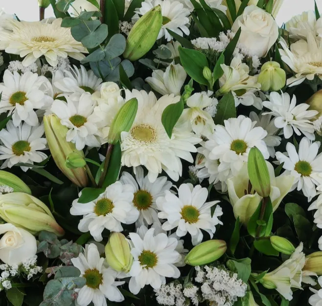 Centro de flores blancas premium