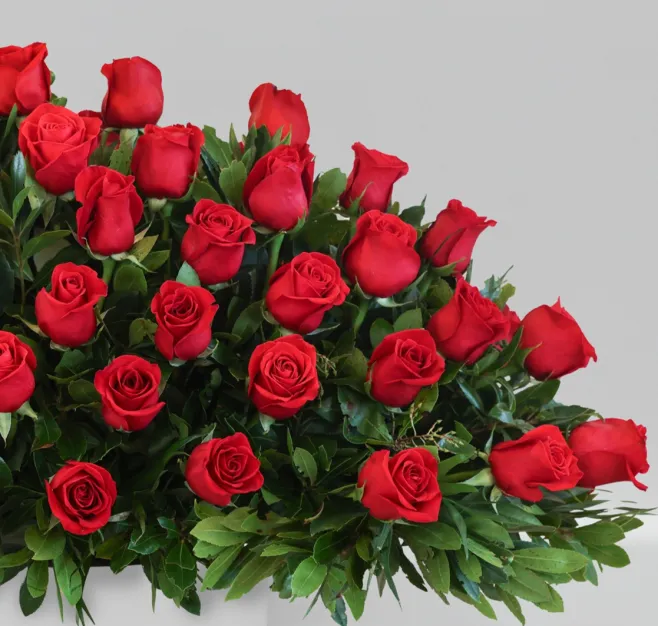 Centro de rosas rojas premium