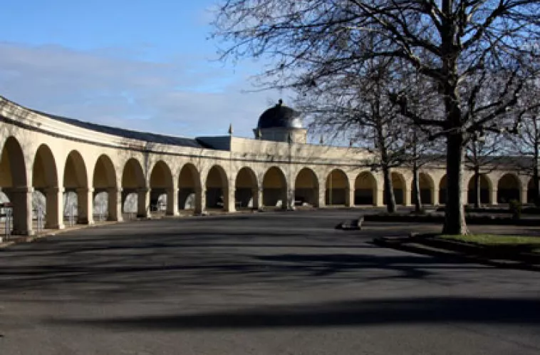 CEMENTERIO MUNICIPAL DE LEÓN - SERFUNLE