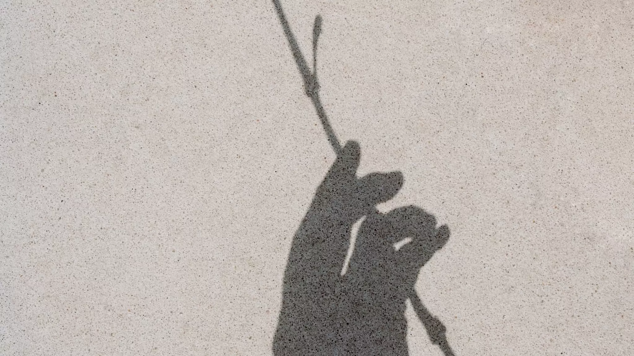 Silueta de la sombra de un brazo con una flor